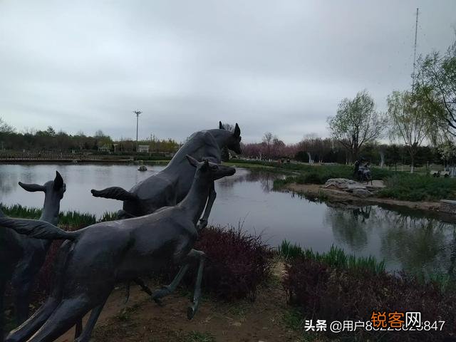 分享春天,欣赏美景,你们在忙些什么,有何分享？