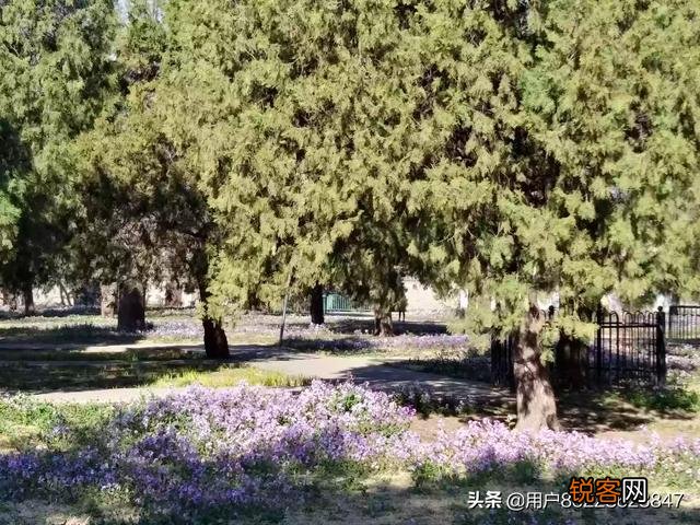 分享春天,欣赏美景,你们在忙些什么,有何分享？