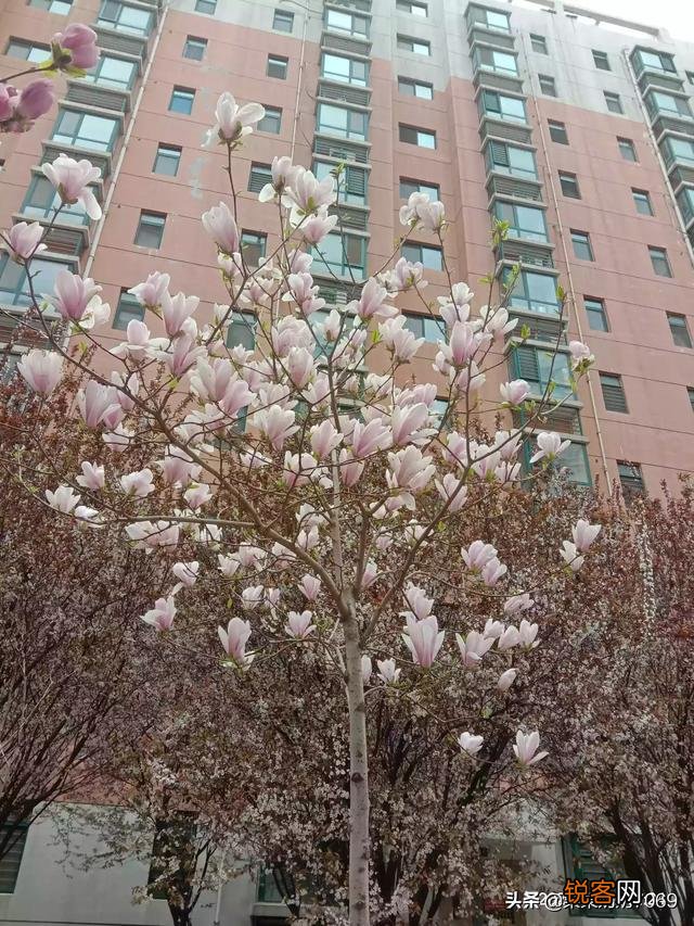 分享春天,欣赏美景,你们在忙些什么,有何分享？