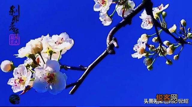 分享春天,欣赏美景,你们在忙些什么,有何分享？