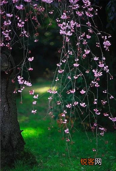 “春有百花秋有月,夏有凉风冬有雪”,你怎么理解这句带人生哲理的句子？