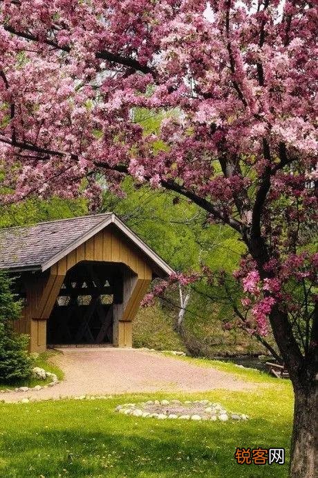 “春有百花秋有月,夏有凉风冬有雪”,你怎么理解这句带人生哲理的句子？