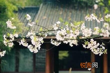 “春有百花秋有月,夏有凉风冬有雪”,你怎么理解这句带人生哲理的句子？