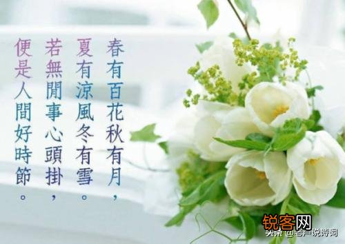 有哪些描写四季的古诗及意思的大全？
