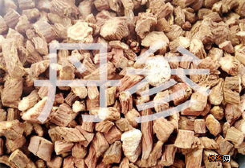 丹参的功效与作用禁忌 丹参对失眠有效果吗