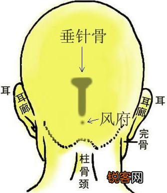 骨面相图解 骨相图解：垂针骨