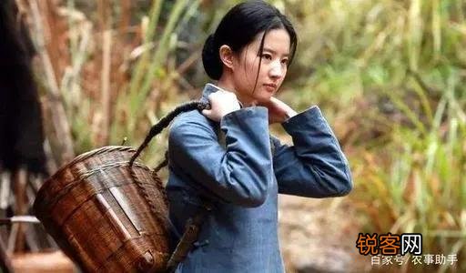 农村俗语“好男对凸怕有三,好女对凹怕有四”是什么意思?有什么道理?