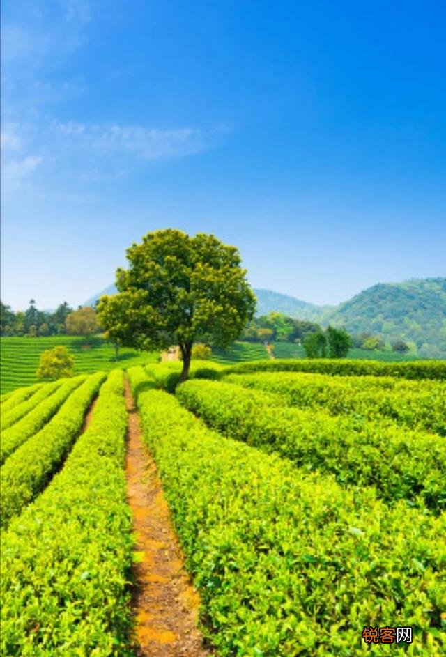 最近焦虑了,提不起精神,人生的路很迷茫！我该怎么办？
