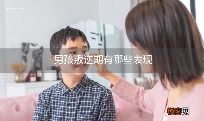 男孩叛逆期有哪些表现