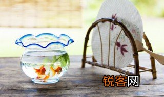 描写金鱼的优美句子 有什么描写金鱼的句子呢
