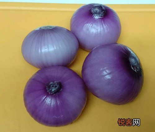 烤洋葱花
