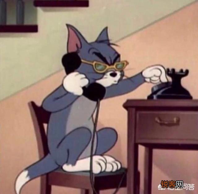 动画片《猫和老鼠》中的汤姆是一只什么猫？为什么？