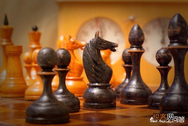 有哪些比较专业的玩国际象棋的软件？