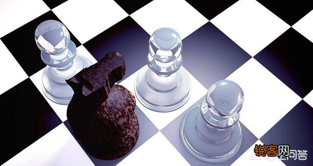 有哪些比较专业的玩国际象棋的软件？