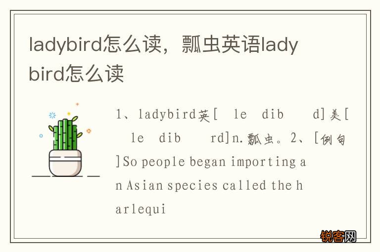 ladybird怎么读，瓢虫英语ladybird怎么读