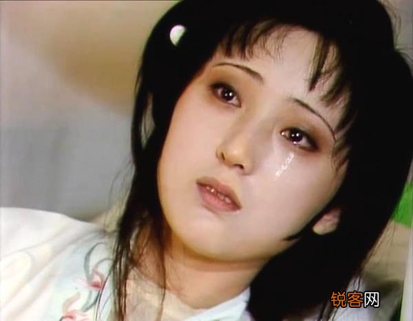 黛玉诗中的“一年三百六十天,风刀霜剑严相逼”,她具体在指向什么？