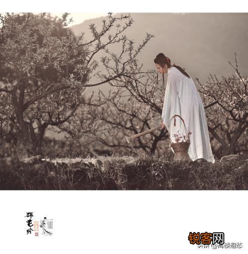 黛玉诗中的“一年三百六十天,风刀霜剑严相逼”,她具体在指向什么？