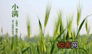 小满诗句 小满的介绍