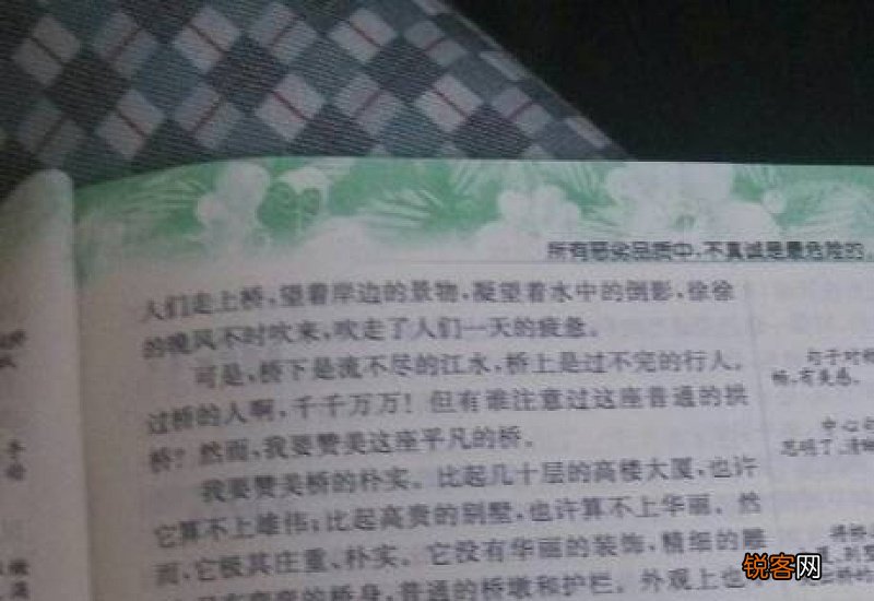 五年级蚂蚁的启示日记400字