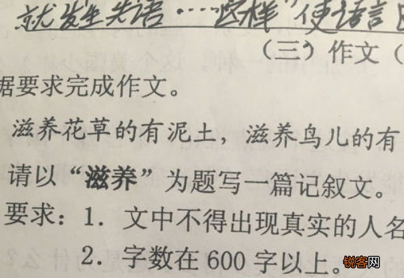 春节珍藏作文600字初中