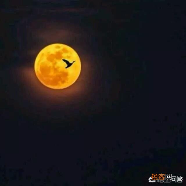 你听过的最恐怖的鬼故事是什么？
