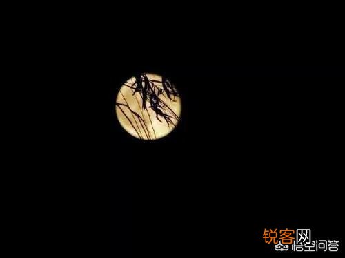 你听过的最恐怖的鬼故事是什么？