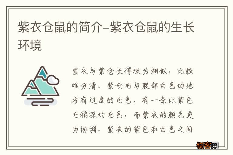 紫衣仓鼠的简介-紫衣仓鼠的生长环境