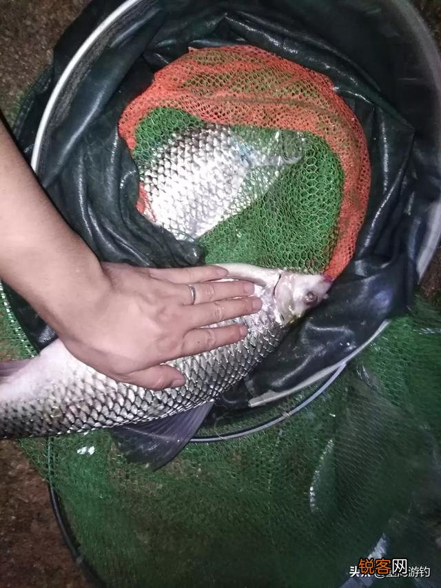 你夜钓的时候遇到过诡异的事吗？