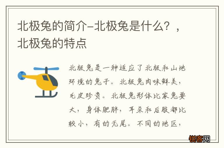 北极兔的简介-北极兔是什么?,北极兔的特点