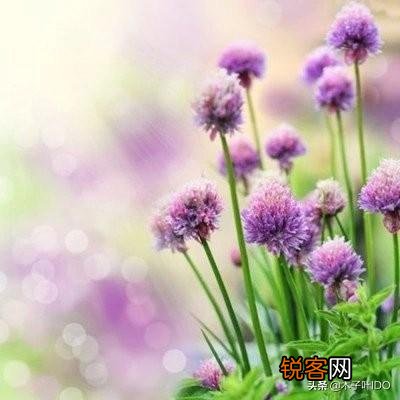 在你身边有发生过什么诡异的事吗？