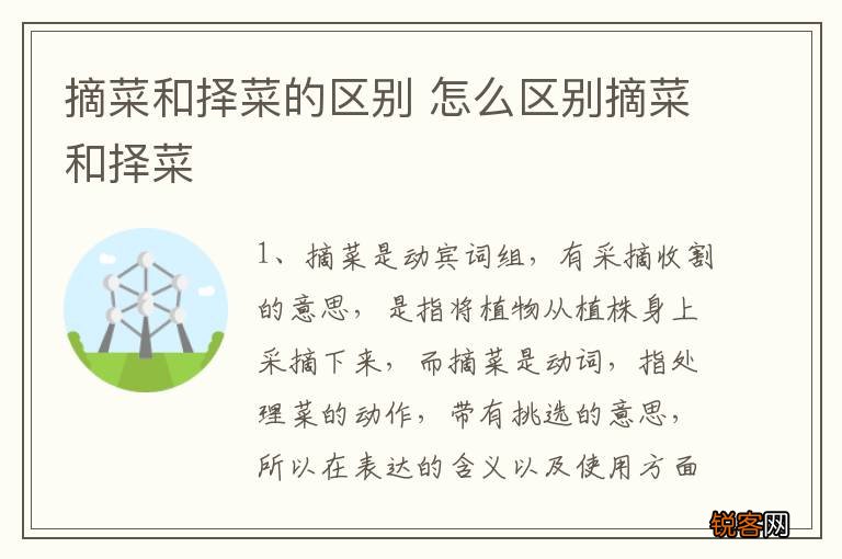摘菜和择菜的区别 怎么区别摘菜和择菜