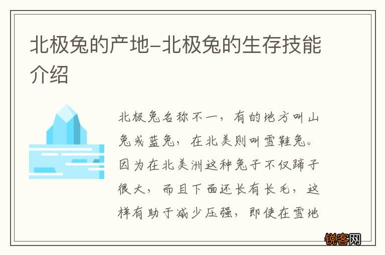 北极兔的产地-北极兔的生存技能介绍