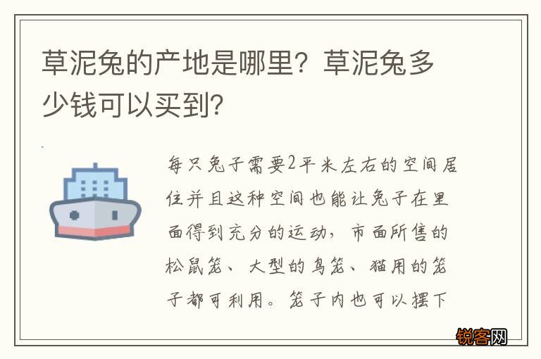 草泥兔的产地是哪里？草泥兔多少钱可以买到？