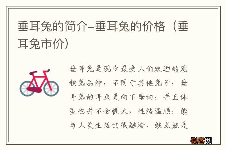 垂耳兔市价 垂耳兔的简介-垂耳兔的价格