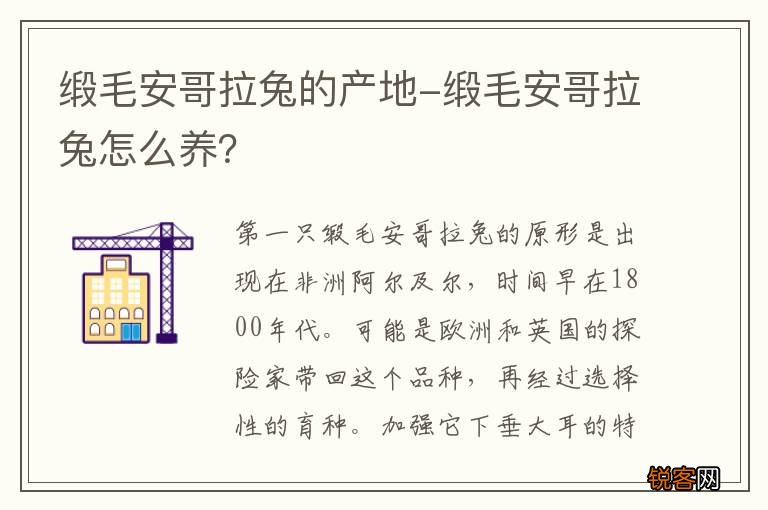 缎毛安哥拉兔的产地-缎毛安哥拉兔怎么养？
