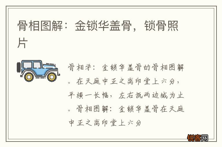 骨相图解:金锁华盖骨,锁骨照片