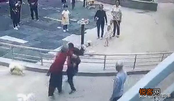80岁老人遛狗不栓绳,遭中年男子暴打,疑因小狗追人,谁的错？