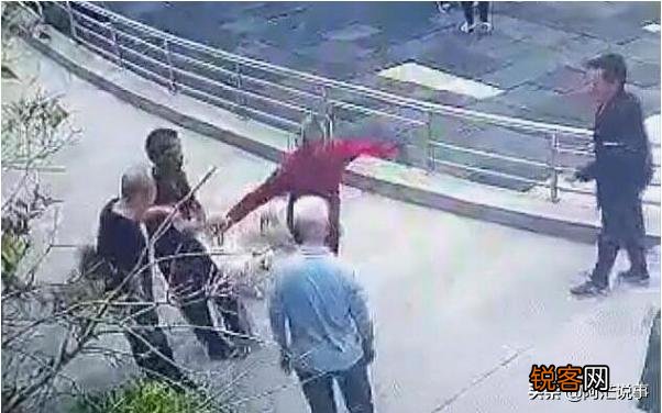 80岁老人遛狗不栓绳,遭中年男子暴打,疑因小狗追人,谁的错？