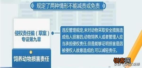 80岁老人遛狗不栓绳,遭中年男子暴打,疑因小狗追人,谁的错？