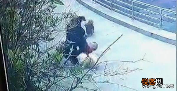 80岁老人遛狗不栓绳,遭中年男子暴打,疑因小狗追人,谁的错？