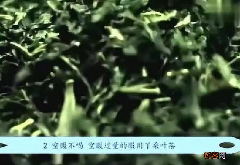 桑叶的作用与功效有哪些 桑叶有哪些禁忌