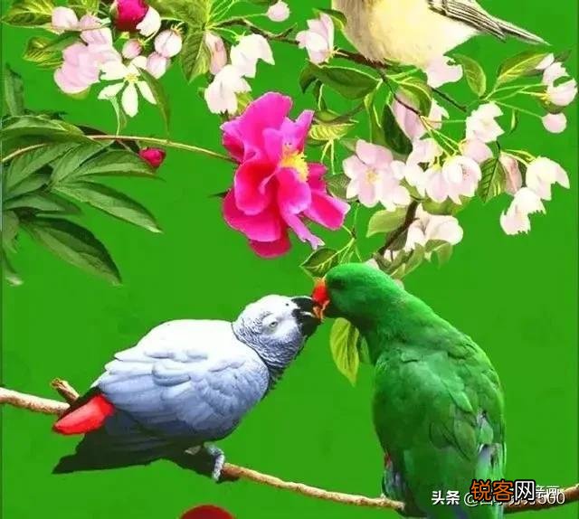 春眠不觉晓,是不是批评睡懒觉,不惜光阴的一首诗？