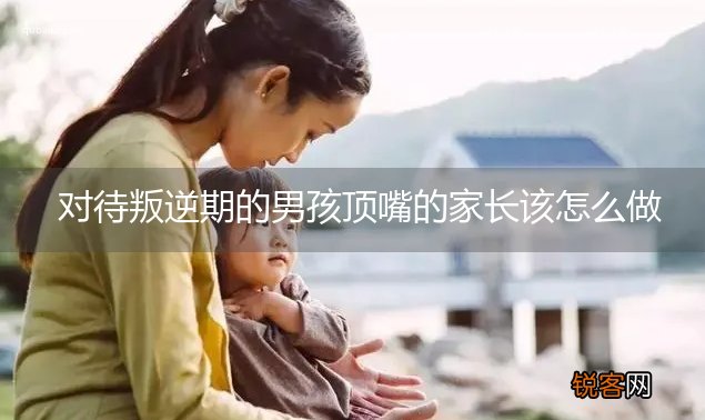 对待叛逆期的男孩顶嘴的家长该怎么做