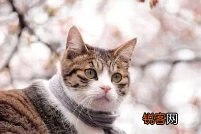 有家的男人爱上你,你们没有任何关系,但他媳妇怀疑你,你怎么办？