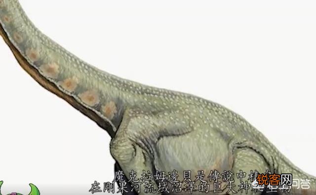 有哪些生物是你认为还存在,却已经灭绝的?