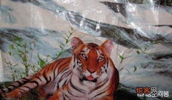 有哪些生物是你认为还存在,却已经灭绝的?