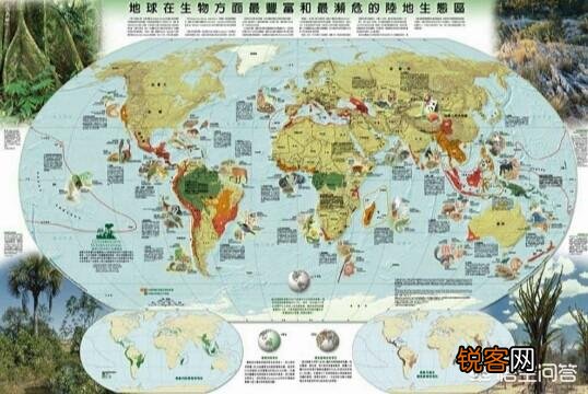 地球上有多少动植物已经灭绝了,如何灭绝的?