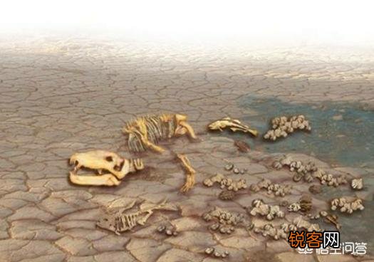 地球上有多少动植物已经灭绝了,如何灭绝的?