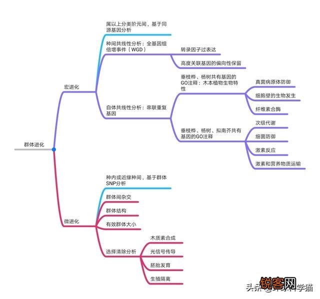 十大被认为已灭绝却又重新出现的动物是什么？