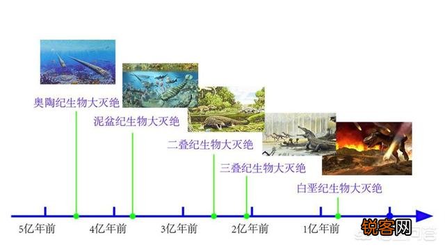 十大被认为已灭绝却又重新出现的动物是什么？
